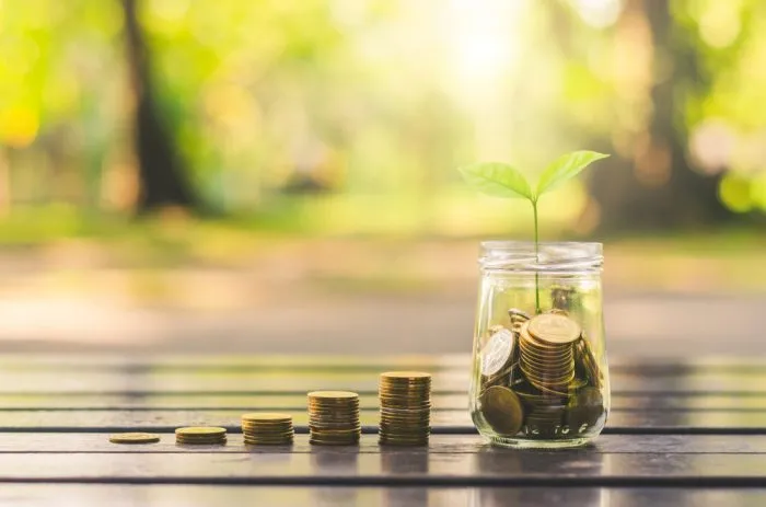 Monedas que crecen hasta convertirse en una planta: símbolo de rendimientos de inversión compuestos
